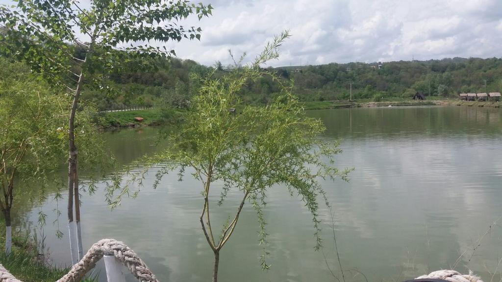 Pensiunea Dely_Cios Vălenii de Munte Exterior foto